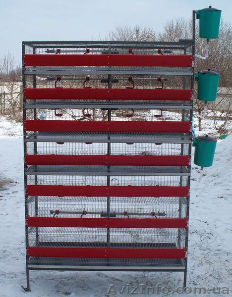 Клеточная батарея для перепелов - <ro>Изображение</ro><ru>Изображение</ru> #1, <ru>Объявление</ru> #866763