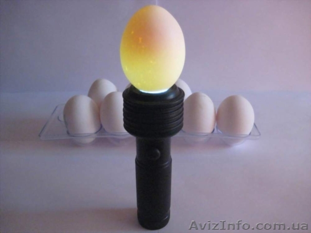 Овоскоп Универсал - <ro>Изображение</ro><ru>Изображение</ru> #1, <ru>Объявление</ru> #892052