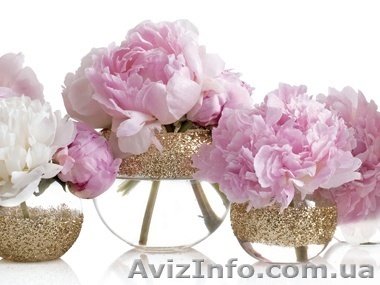 Оформление свадеб и мероприятий - <ro>Изображение</ro><ru>Изображение</ru> #1, <ru>Объявление</ru> #891274