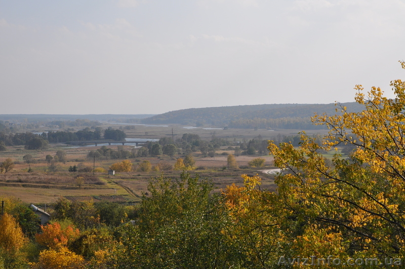 Добротная дача у леса за разумную цену - <ro>Изображение</ro><ru>Изображение</ru> #1, <ru>Объявление</ru> #888246