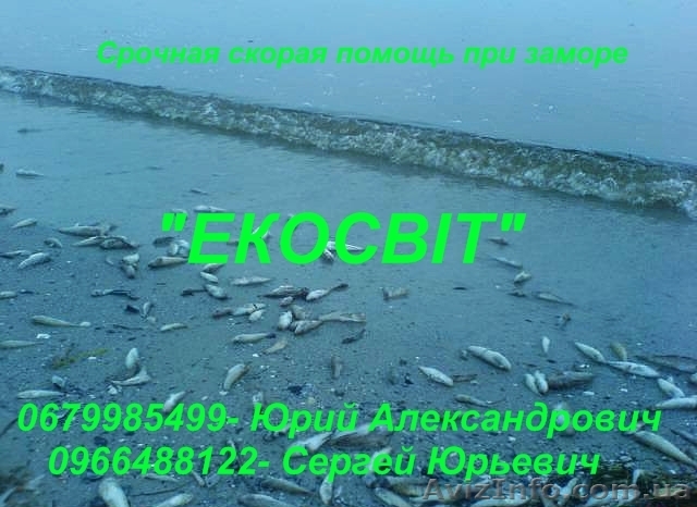 Известь для прудов - <ro>Изображение</ro><ru>Изображение</ru> #1, <ru>Объявление</ru> #902319