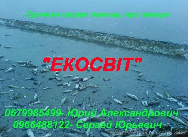 Известкование прудов - <ro>Изображение</ro><ru>Изображение</ru> #1, <ru>Объявление</ru> #902904