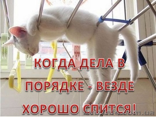 Не давайте повода для ЗАКОННЫХ штрафов! - <ro>Изображение</ro><ru>Изображение</ru> #1, <ru>Объявление</ru> #903584