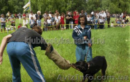 Дрессировка собак Макеевка, Донецк и область - <ro>Изображение</ro><ru>Изображение</ru> #1, <ru>Объявление</ru> #911625