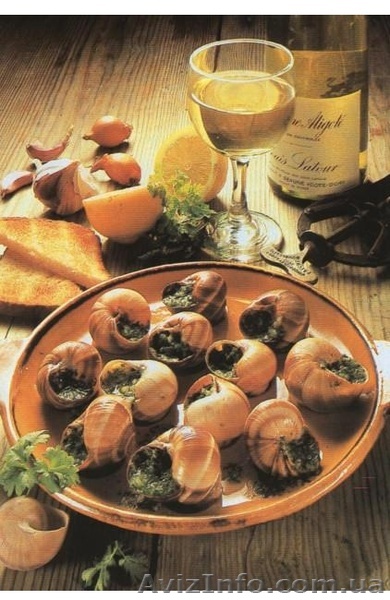 Виноградная улитка Helix pomatia - <ro>Изображение</ro><ru>Изображение</ru> #1, <ru>Объявление</ru> #908976