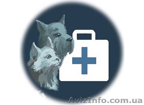 Ветеринар Харьков (093)408 09 36 - <ro>Изображение</ro><ru>Изображение</ru> #1, <ru>Объявление</ru> #942047