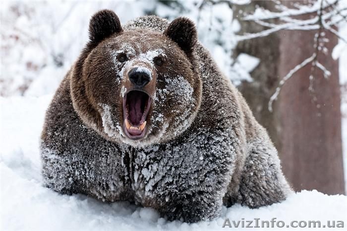 Курсы фотографии в Харькове. Звоните. - <ro>Изображение</ro><ru>Изображение</ru> #1, <ru>Объявление</ru> #954950