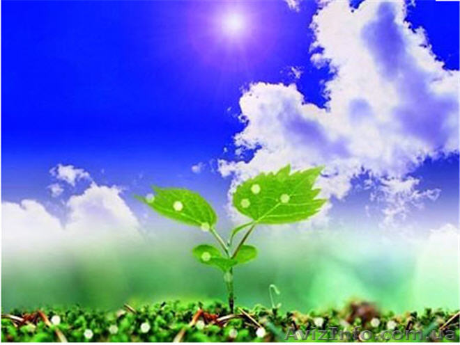 КАЧЕСТВЕННЫЕ СРЕДСТВА ЗАЩИТЫ РАСТЕНИЙ!!! - <ro>Изображение</ro><ru>Изображение</ru> #1, <ru>Объявление</ru> #981761