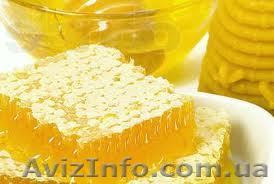 мед-семейная пасека - <ro>Изображение</ro><ru>Изображение</ru> #1, <ru>Объявление</ru> #994859