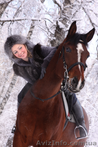 Волшебство под новый год! Подарочные сертификаты на конные прогулки и уроки! - <ro>Изображение</ro><ru>Изображение</ru> #1, <ru>Объявление</ru> #994149