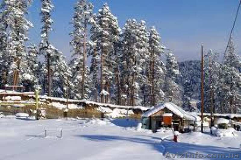 Горнолыжный тур на 8 Марта в Грузии - <ro>Изображение</ro><ru>Изображение</ru> #1, <ru>Объявление</ru> #1019393