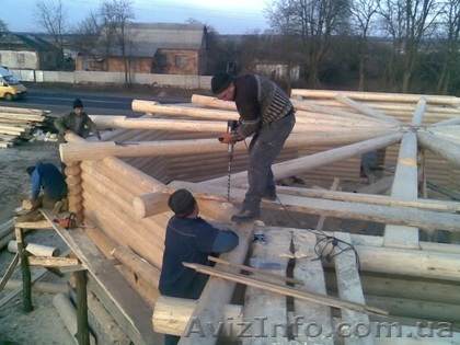 Срубы с закарпатской смереки. - <ro>Изображение</ro><ru>Изображение</ru> #1, <ru>Объявление</ru> #1017268