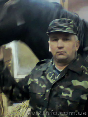 Коневод.Работа с лошадьми. - <ro>Изображение</ro><ru>Изображение</ru> #1, <ru>Объявление</ru> #1029457