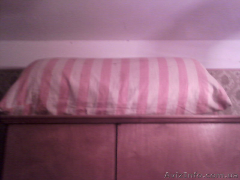 Перина для дома или дачи - <ro>Изображение</ro><ru>Изображение</ru> #1, <ru>Объявление</ru> #1029721