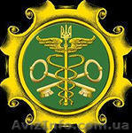 Таможенный декларант - <ro>Изображение</ro><ru>Изображение</ru> #1, <ru>Объявление</ru> #1021918