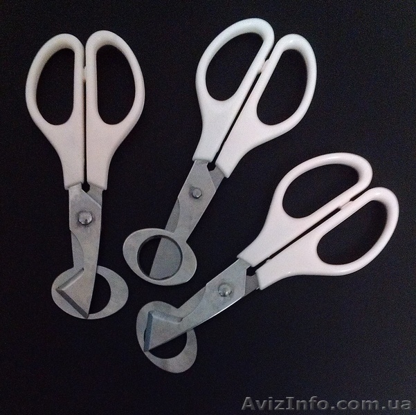 Ножницы для перепелиных яиц - <ro>Изображение</ro><ru>Изображение</ru> #1, <ru>Объявление</ru> #1042700