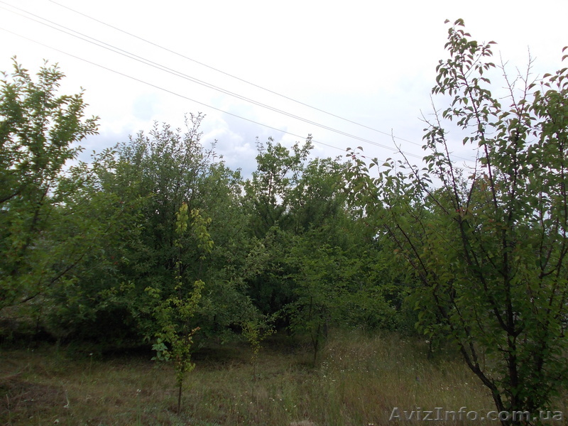 Дачный участок Хорошево, 6 соток продам Дачу Харькова пригород - <ro>Изображение</ro><ru>Изображение</ru> #1, <ru>Объявление</ru> #1072475