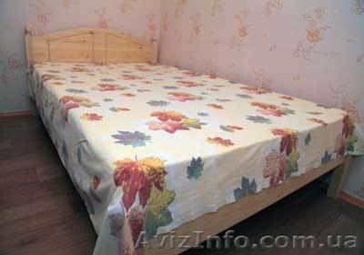 Сдам 1-ю малогабаритную квартиру м. Научная ул. Данилевского  - <ro>Изображение</ro><ru>Изображение</ru> #1, <ru>Объявление</ru> #1071124