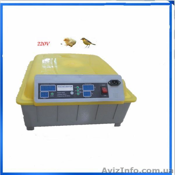 Инкубатор на 48 куриных яиц - <ro>Изображение</ro><ru>Изображение</ru> #1, <ru>Объявление</ru> #1097994