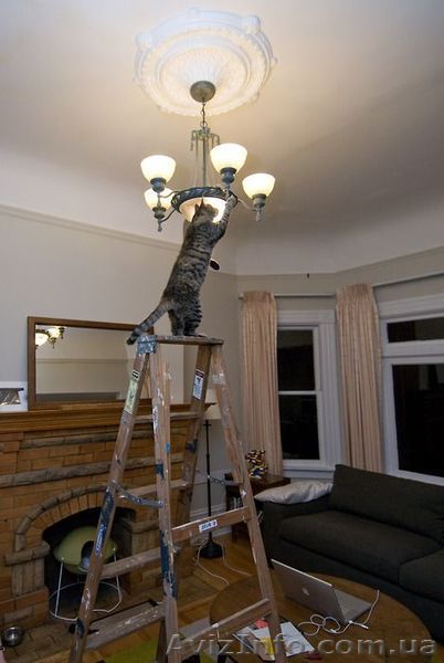 Муж на час для обустройства дома - <ro>Изображение</ro><ru>Изображение</ru> #1, <ru>Объявление</ru> #1127753