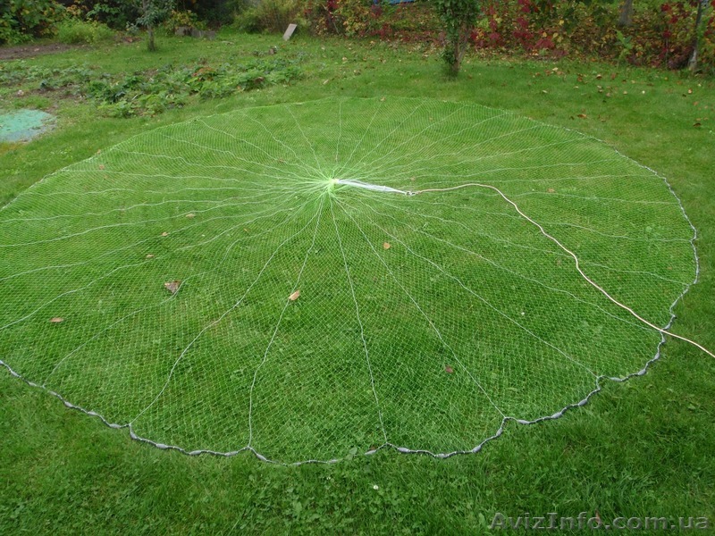 Кастинговая сеть!!!! - <ro>Изображение</ro><ru>Изображение</ru> #1, <ru>Объявление</ru> #1140397