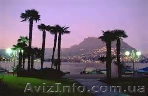 ГОРИТ!!!!! ЕГИПЕТ!!!! - <ro>Изображение</ro><ru>Изображение</ru> #1, <ru>Объявление</ru> #1178130