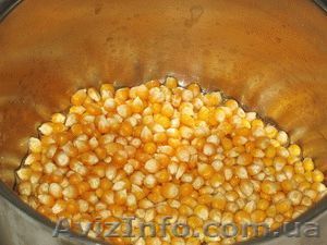 Кукуруза  для приготовления поп-корна - <ro>Изображение</ro><ru>Изображение</ru> #1, <ru>Объявление</ru> #1178464