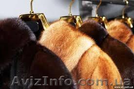 Камера для хранения шуб и меховых изделий Харьков - <ro>Изображение</ro><ru>Изображение</ru> #1, <ru>Объявление</ru> #1174261