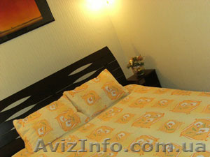 Аренда прекрасной комнаты  в Центре - <ro>Изображение</ro><ru>Изображение</ru> #1, <ru>Объявление</ru> #1209205