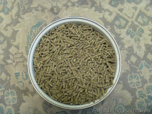 Корма и все необходимое для шиншилл - <ro>Изображение</ro><ru>Изображение</ru> #1, <ru>Объявление</ru> #1238758