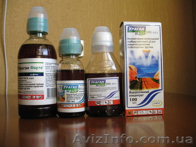 Ураган Форте (Syngenta) 300МЛ/100МЛ - <ro>Изображение</ro><ru>Изображение</ru> #1, <ru>Объявление</ru> #1261478