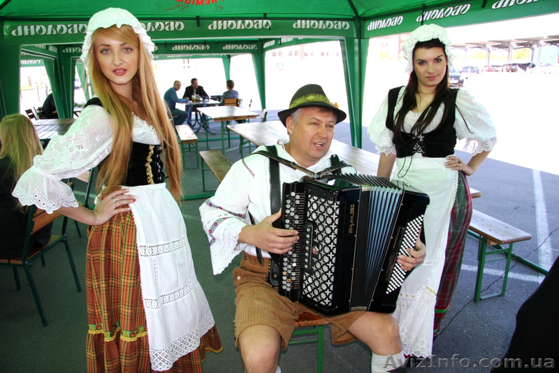 Профессиональный БАЯНИСТ (аккордионист) - <ro>Изображение</ro><ru>Изображение</ru> #1, <ru>Объявление</ru> #1288176