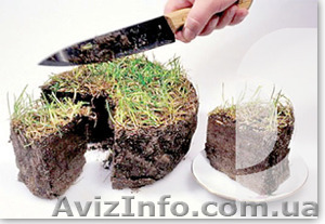 Своевременные консультации по земельному праву - <ro>Изображение</ro><ru>Изображение</ru> #1, <ru>Объявление</ru> #1298208