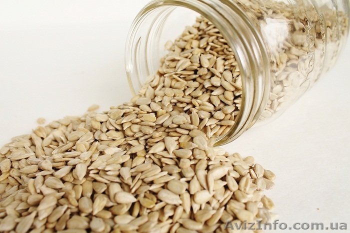 Продам Ядро подсолнечника - <ro>Изображение</ro><ru>Изображение</ru> #1, <ru>Объявление</ru> #1352564