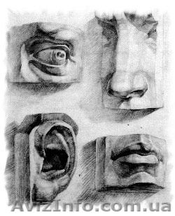 Курсы академического рисунка - <ro>Изображение</ro><ru>Изображение</ru> #1, <ru>Объявление</ru> #1346898