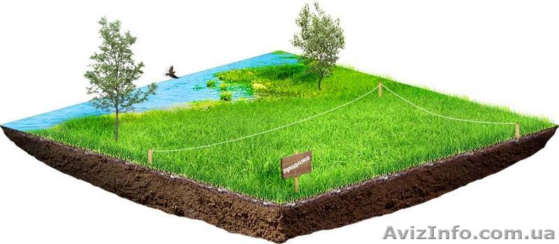 Продается участок 2 га. в Липцах возле пансионата "Дубрава". - <ro>Изображение</ro><ru>Изображение</ru> #1, <ru>Объявление</ru> #1363564