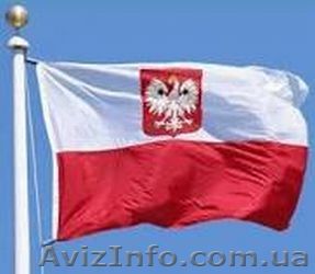 Срочная интернет регистрация - <ro>Изображение</ro><ru>Изображение</ru> #1, <ru>Объявление</ru> #1369073