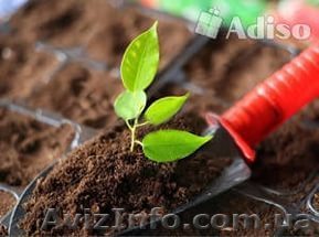 Субстрат торфяной "Для Рассады" - <ro>Изображение</ro><ru>Изображение</ru> #1, <ru>Объявление</ru> #1376073