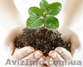 Удобрение минеральное ГУМАТ КАЛИЯ AGRO в ассортименте - <ro>Изображение</ro><ru>Изображение</ru> #1, <ru>Объявление</ru> #1376091