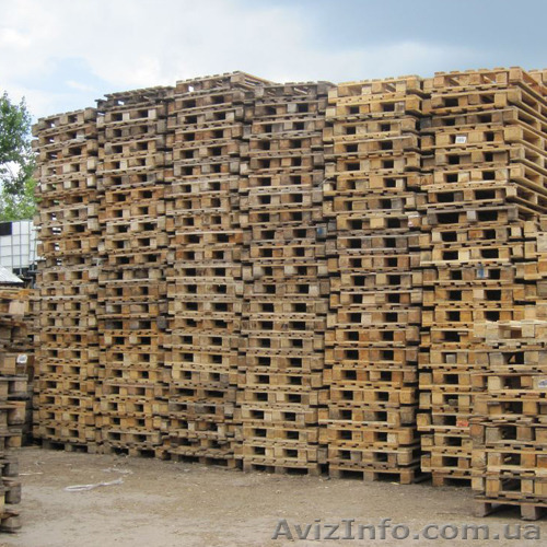 Куплю поддоны, европоддоны любых размеров.  - <ro>Изображение</ro><ru>Изображение</ru> #1, <ru>Объявление</ru> #1370479