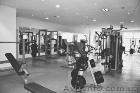 Продам Действующий Бизнес / Фитнес Клуб - <ro>Изображение</ro><ru>Изображение</ru> #1, <ru>Объявление</ru> #1426246