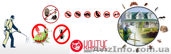 100% избавим от клопов, клещей, блох, комаров, тараканов, муравьев, ос, шершней  - <ro>Изображение</ro><ru>Изображение</ru> #1, <ru>Объявление</ru> #1453768