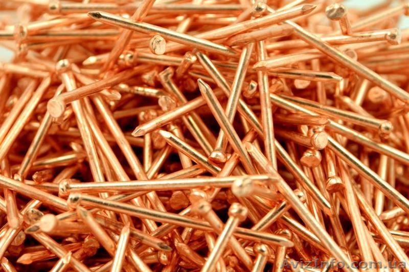 Гвозди строительные, омедненные - <ro>Изображение</ro><ru>Изображение</ru> #1, <ru>Объявление</ru> #1451299