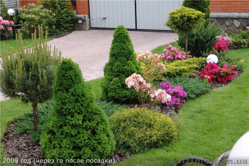 Субстрат торфяной "Кислый для хвойных растений и рододендронов" - <ro>Изображение</ro><ru>Изображение</ru> #1, <ru>Объявление</ru> #1376085