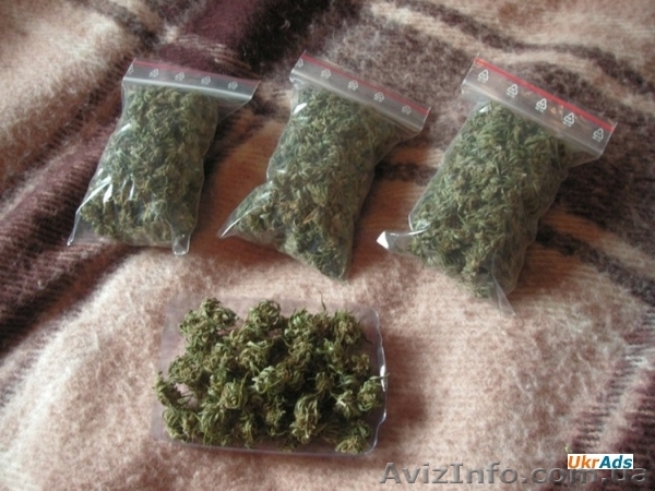 Сортовые шишки, круглые, фен, соль в Харькове - <ro>Изображение</ro><ru>Изображение</ru> #1, <ru>Объявление</ru> #1468131