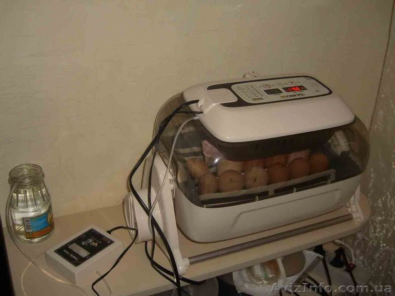 інкубатор R-Com - <ro>Изображение</ro><ru>Изображение</ru> #1, <ru>Объявление</ru> #1203668