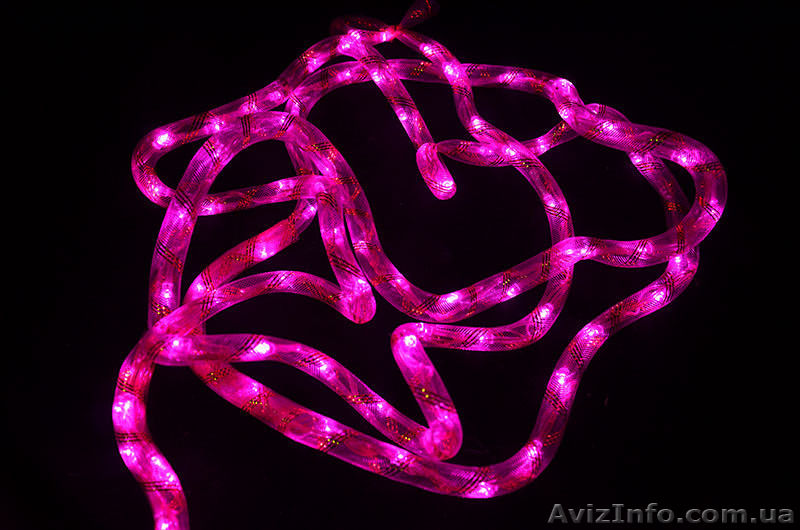 Гирлянда светодиодная — led шланг-100 - <ro>Изображение</ro><ru>Изображение</ru> #1, <ru>Объявление</ru> #1493547