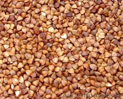 Гречка, крупа гречневая. - <ro>Изображение</ro><ru>Изображение</ru> #1, <ru>Объявление</ru> #1485685