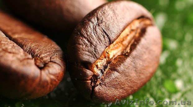 Зёрна кофе, 100% арабика - <ro>Изображение</ro><ru>Изображение</ru> #1, <ru>Объявление</ru> #1495077