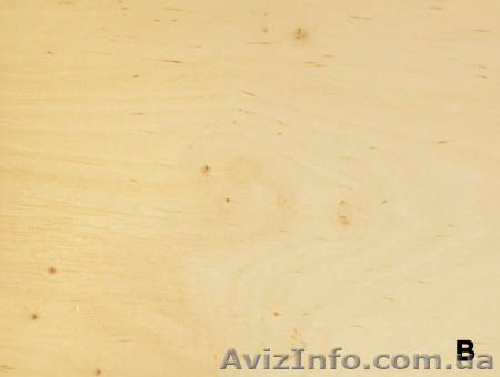 Продам фанеру ФК мебельную 18 мм высокого качества со склада в Харькове - <ro>Изображение</ro><ru>Изображение</ru> #1, <ru>Объявление</ru> #1513271